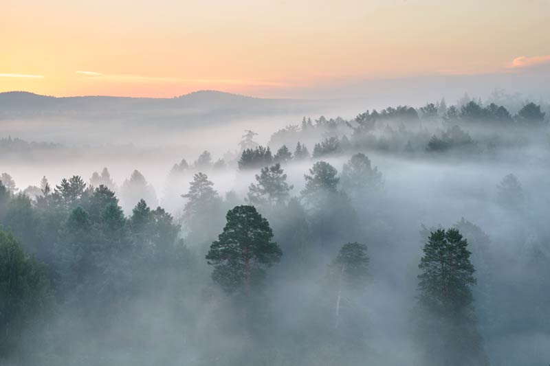 Mindfulness for Executives
